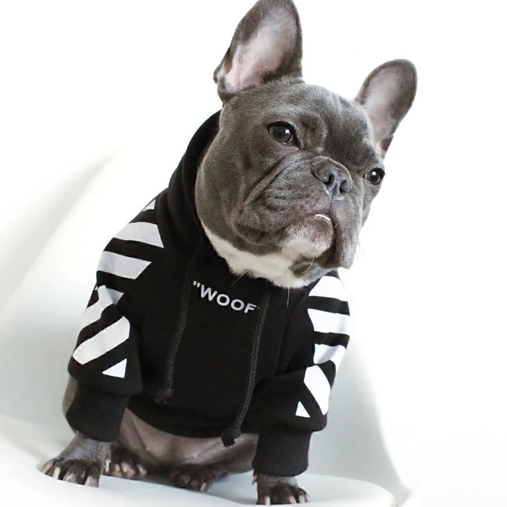 ❤️Dog Hoodie ❤️for Small--Medium Dogs - Picture 1 of 3